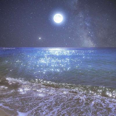 跳水群星现身知音号 郭晶晶盛装出席