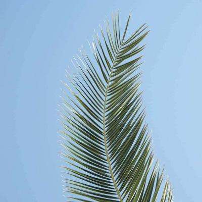 越秀资本3月26日在互动平台表示，公司绿电业务目前没有开展绿电直连类型项目。