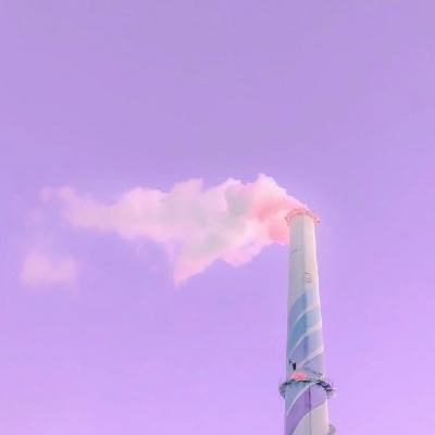 2026 CAIMRS | 本土品牌超过半壁...
