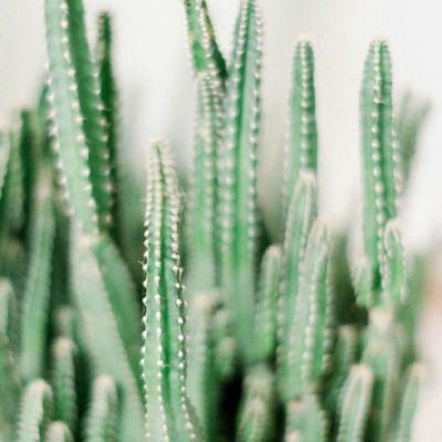 中国建设银行与伦敦金融城共同举办中英资本市场互联互通圆桌会